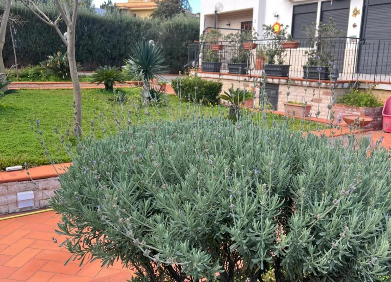 Villa Donna Toni Carini 0*,  Italy