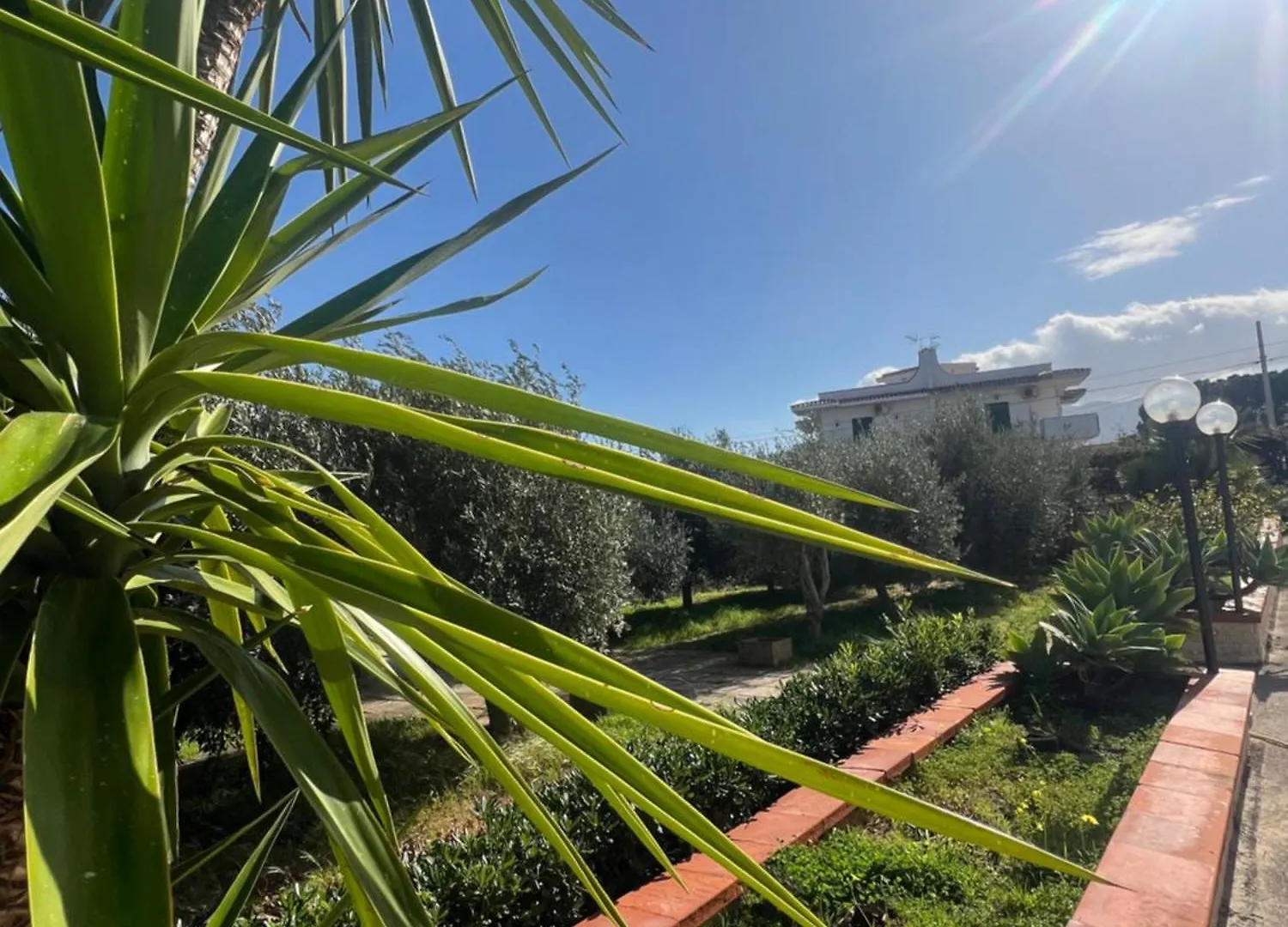 Villa Donna Toni Carini Holiday home